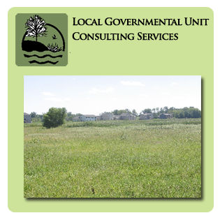 LGU Consultation Services