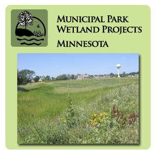 Municipal Park Wetland Services