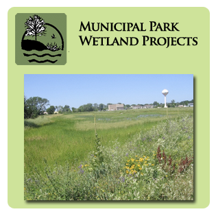 Municipal Park Wetland Services