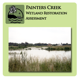 Painters Creek Wetland Restoration Assessment